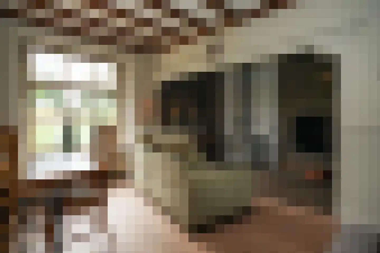 Liesveldsesteeg 23 Brakel thumbnail 13