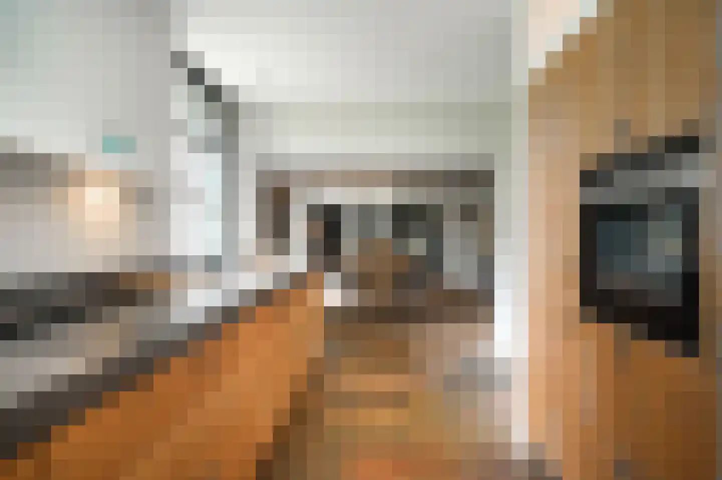Liesveldsesteeg 23 Brakel thumbnail 16
