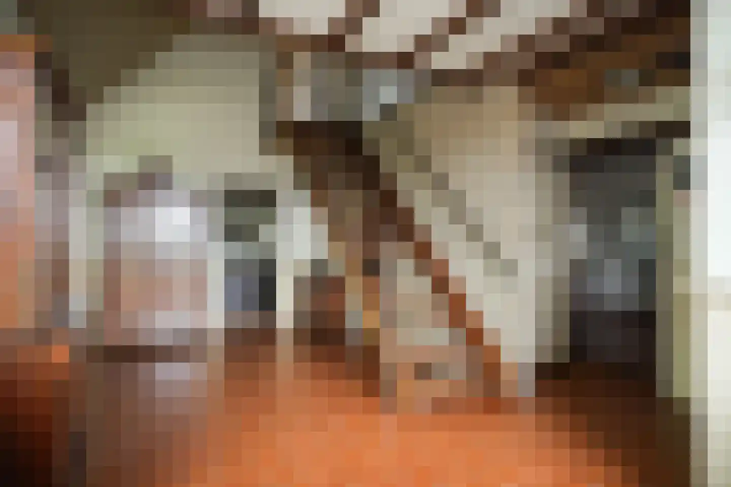 Liesveldsesteeg 23 Brakel thumbnail 20