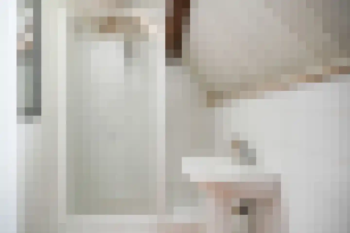 Liesveldsesteeg 23 Brakel thumbnail 23