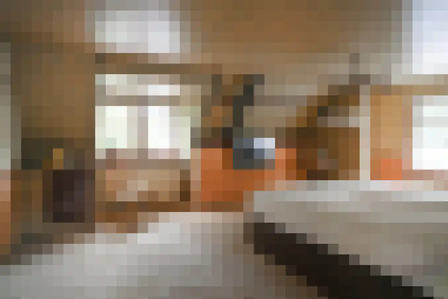 Liesveldsesteeg 23 Brakel thumbnail 24