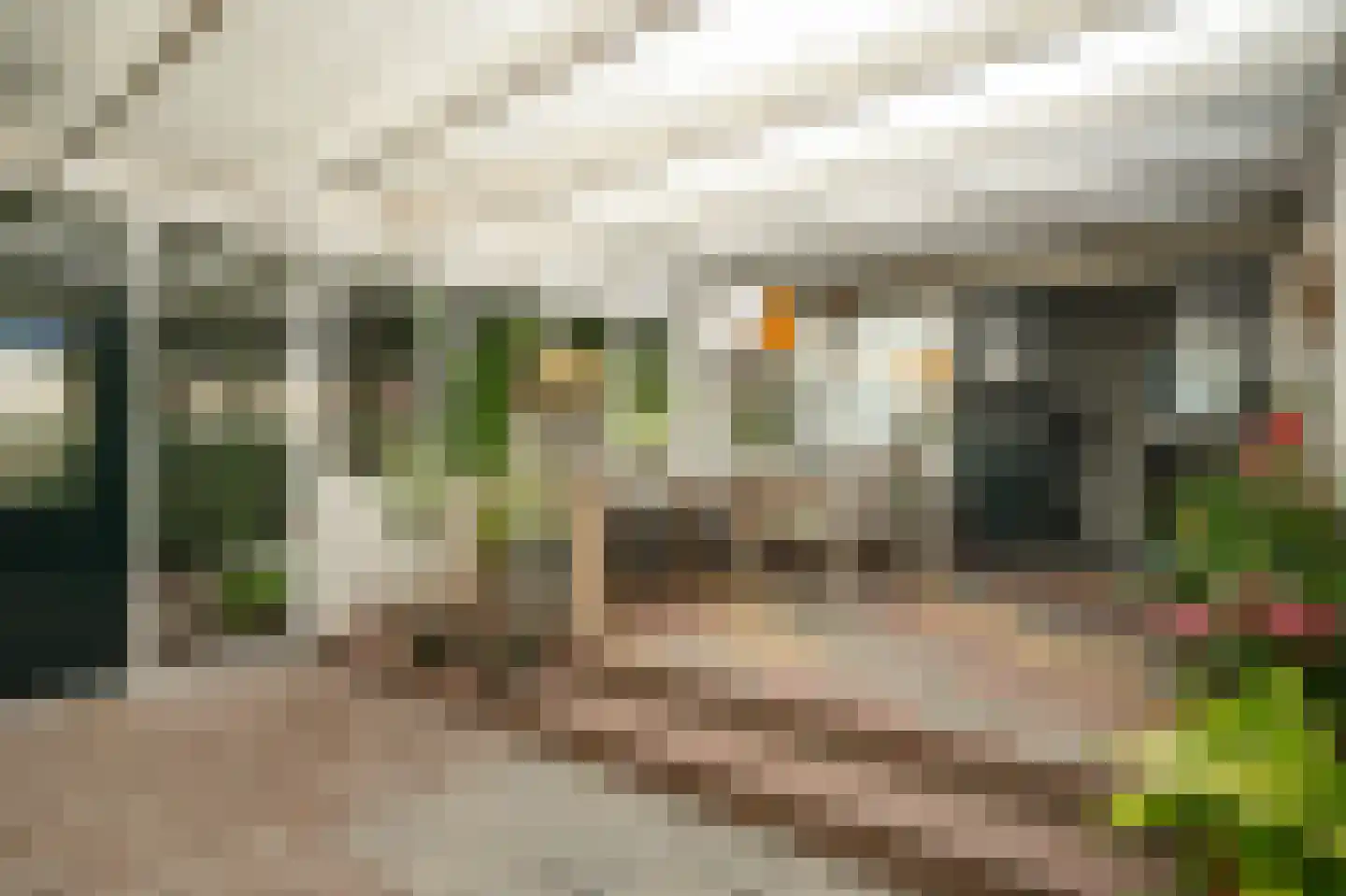 Liesveldsesteeg 23 Brakel thumbnail 26