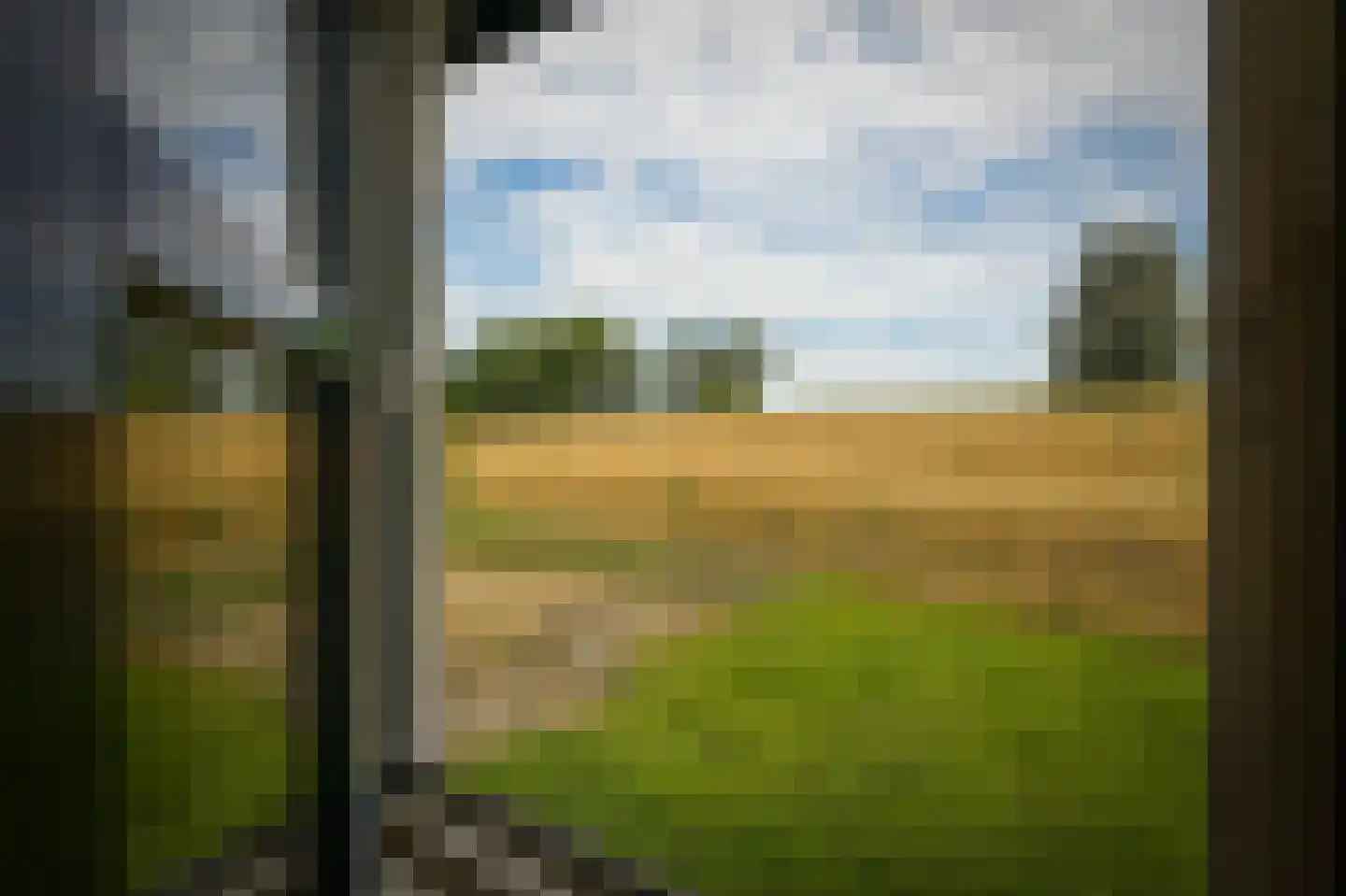 Liesveldsesteeg 23 Brakel thumbnail 31