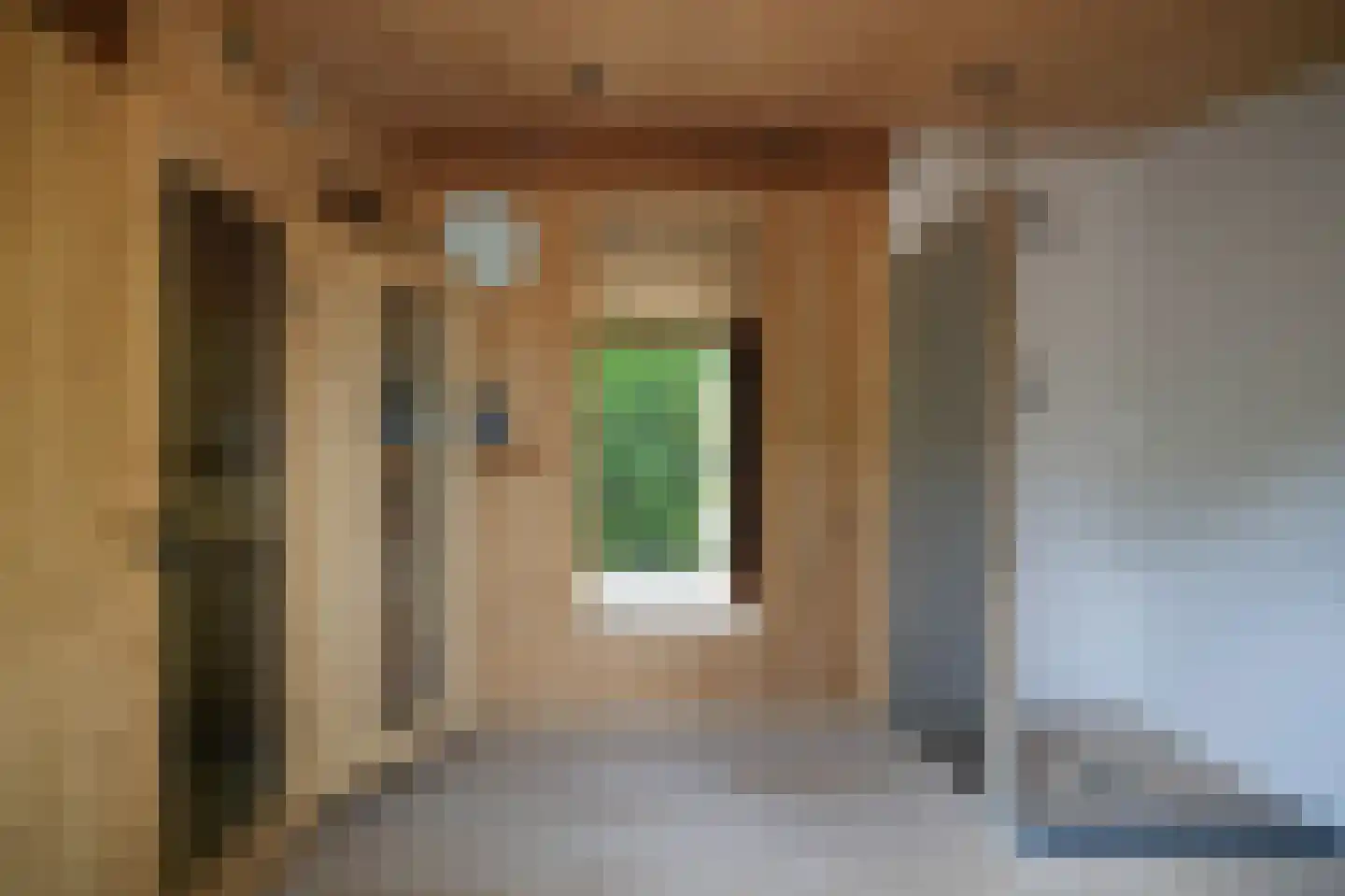 Liesveldsesteeg 23 Brakel thumbnail 34