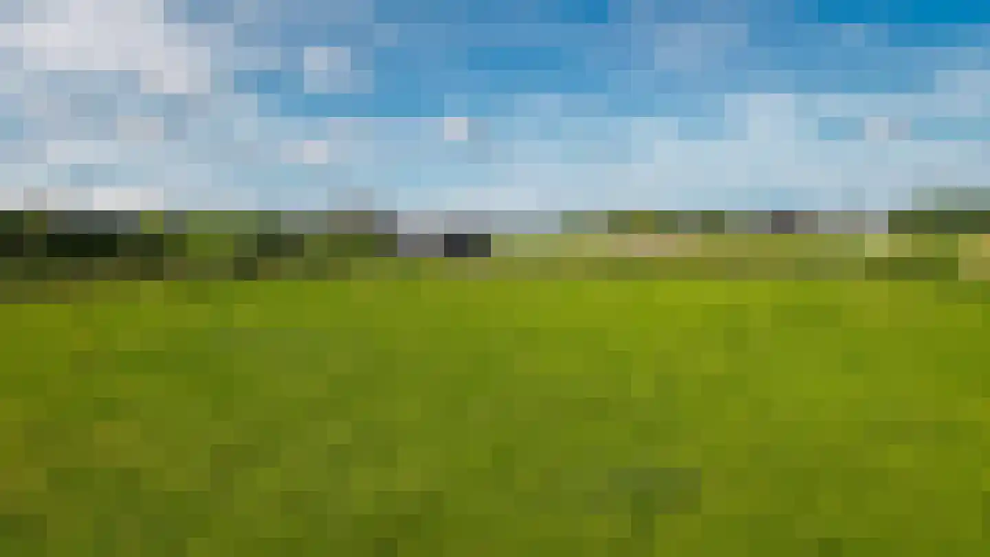 Liesveldsesteeg 23 Brakel thumbnail 37