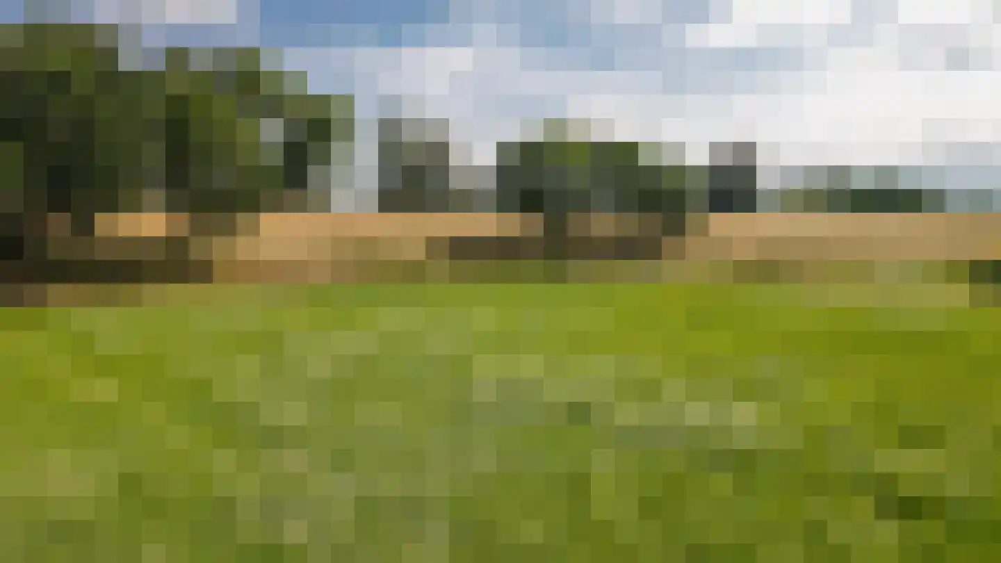 Liesveldsesteeg 23 Brakel thumbnail 38