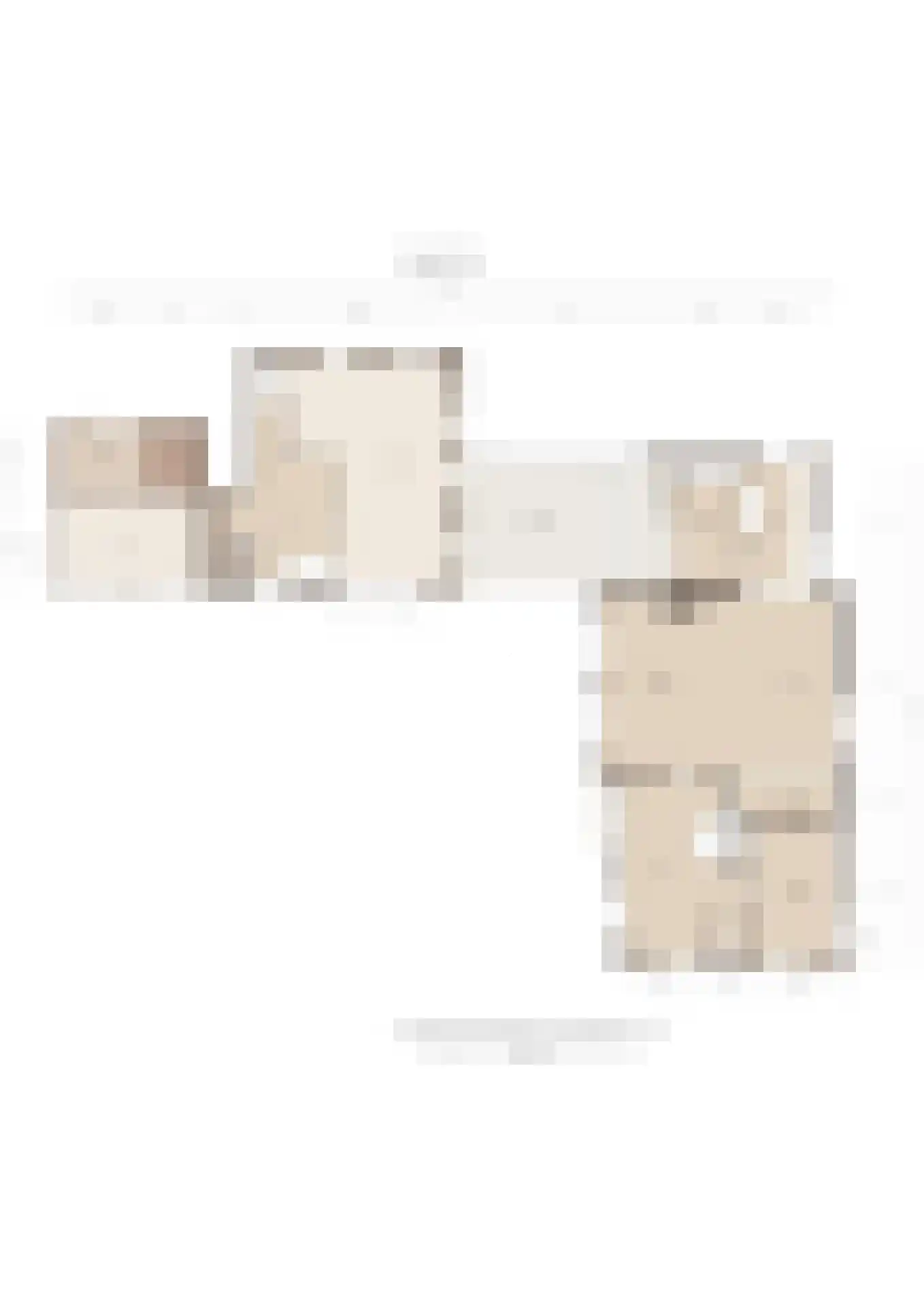 Liesveldsesteeg 23 Brakel thumbnail 39
