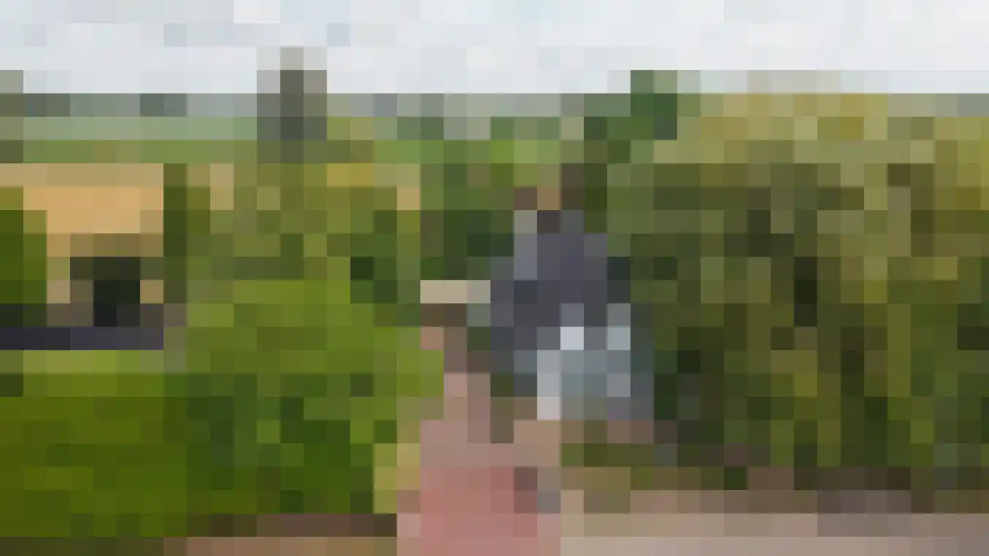 Liesveldsesteeg 23 Brakel thumbnail 4