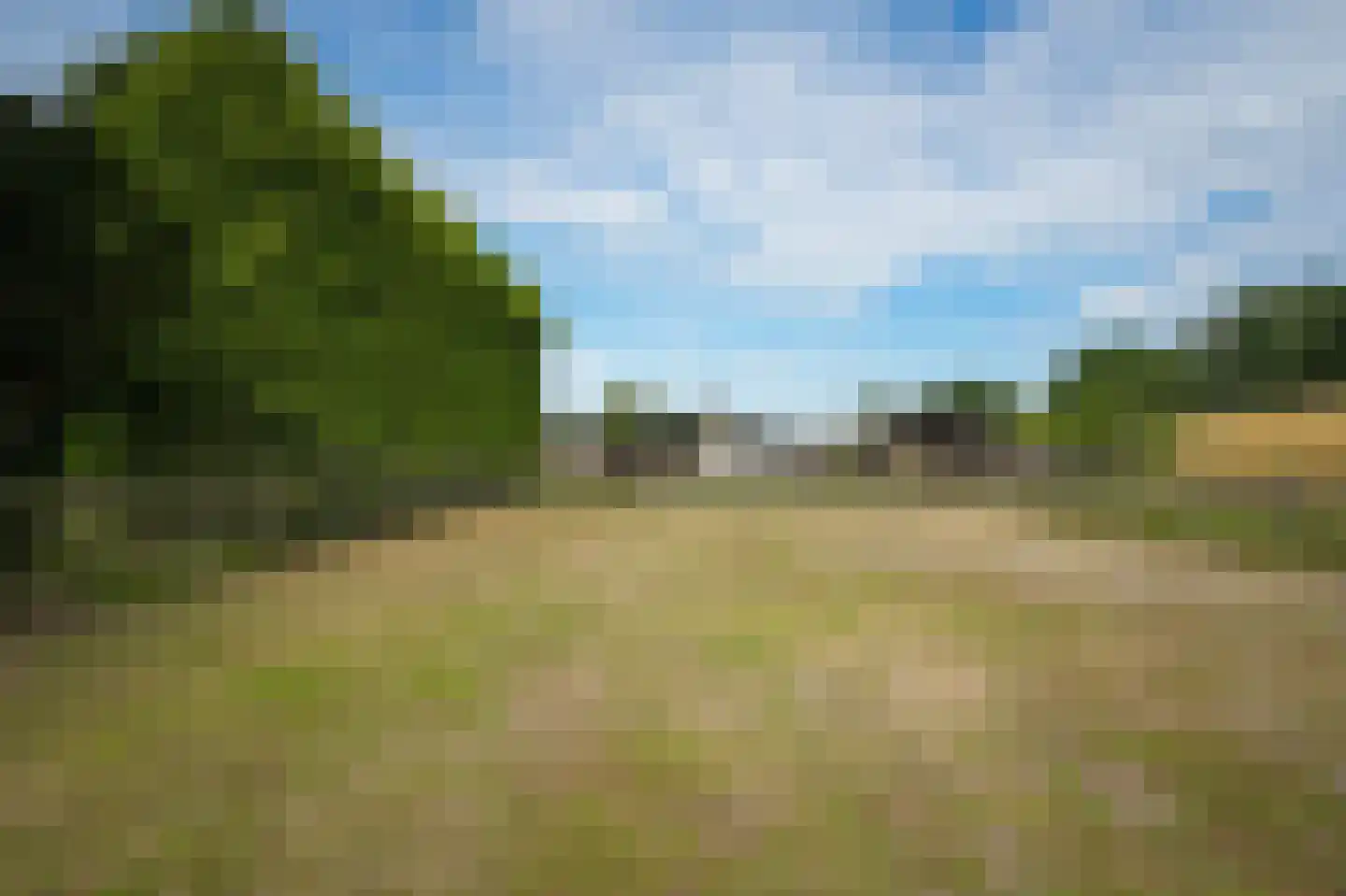 Liesveldsesteeg 23 Brakel thumbnail 5