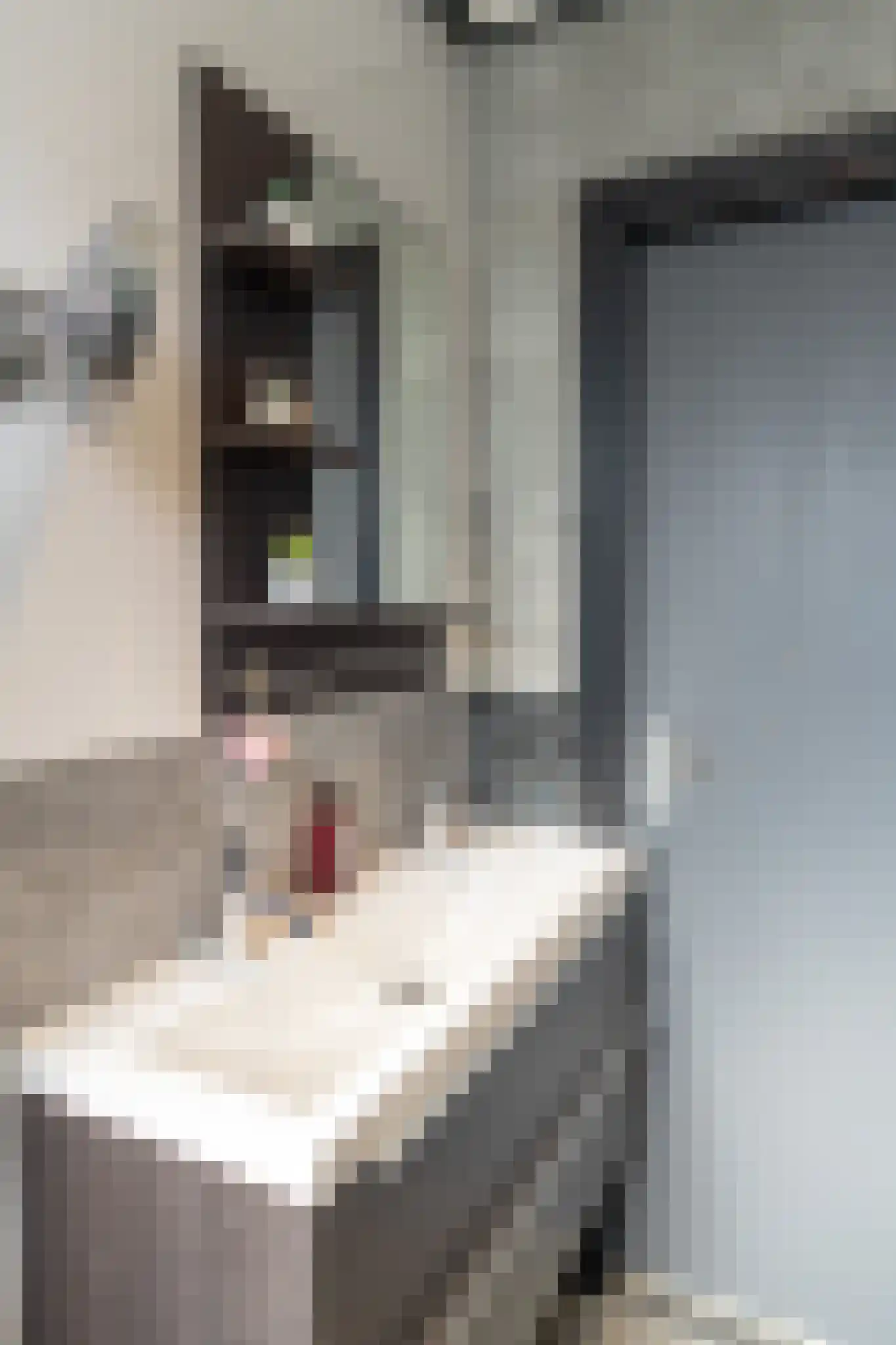 Liesveldsesteeg 30 Brakel thumbnail 16