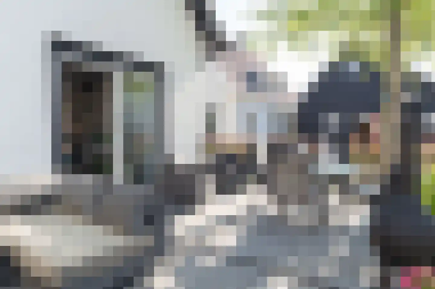 Liesveldsesteeg 30 Brakel thumbnail 27