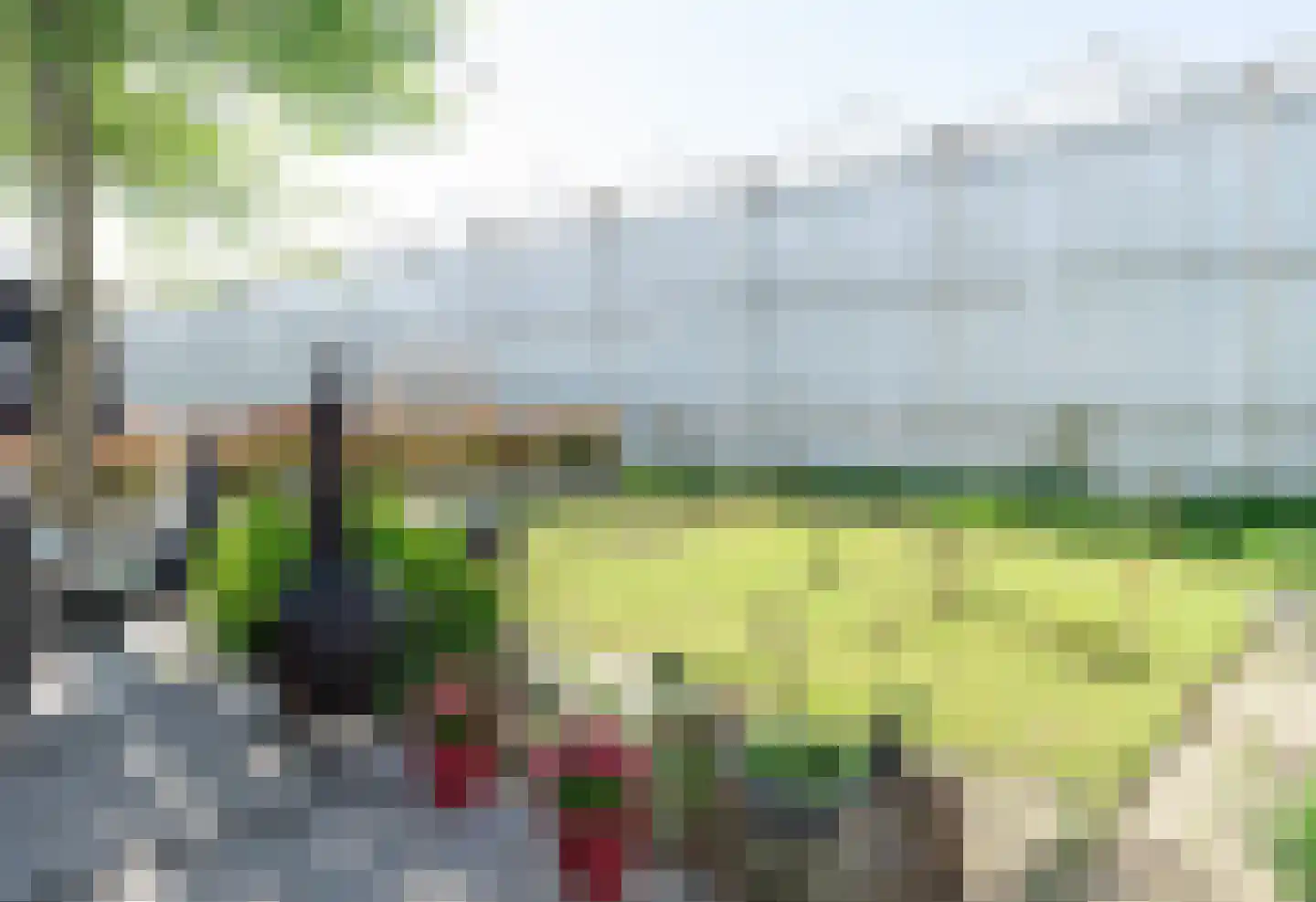 Liesveldsesteeg 30 Brakel thumbnail 29