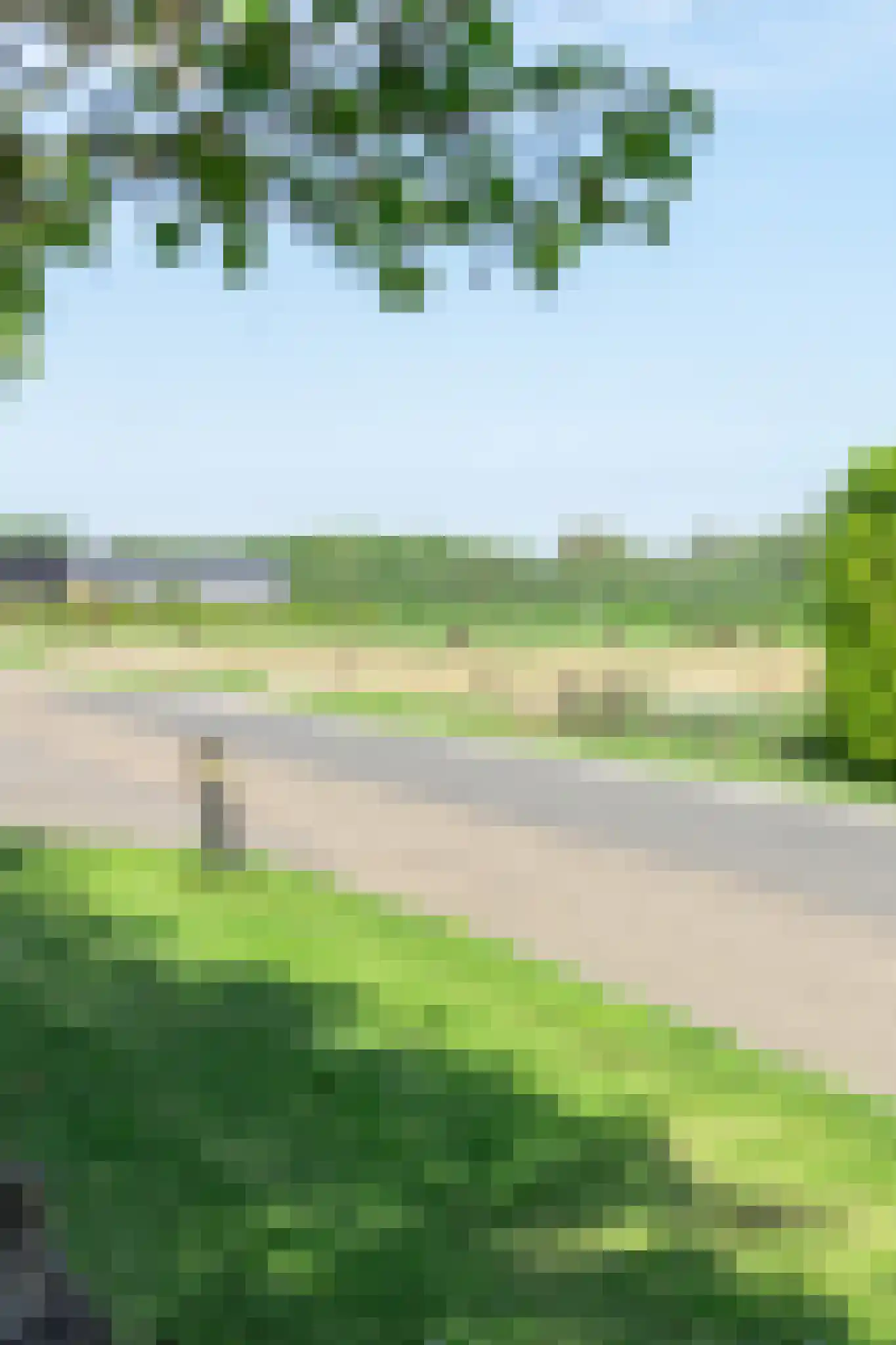 Liesveldsesteeg 30 Brakel thumbnail 34