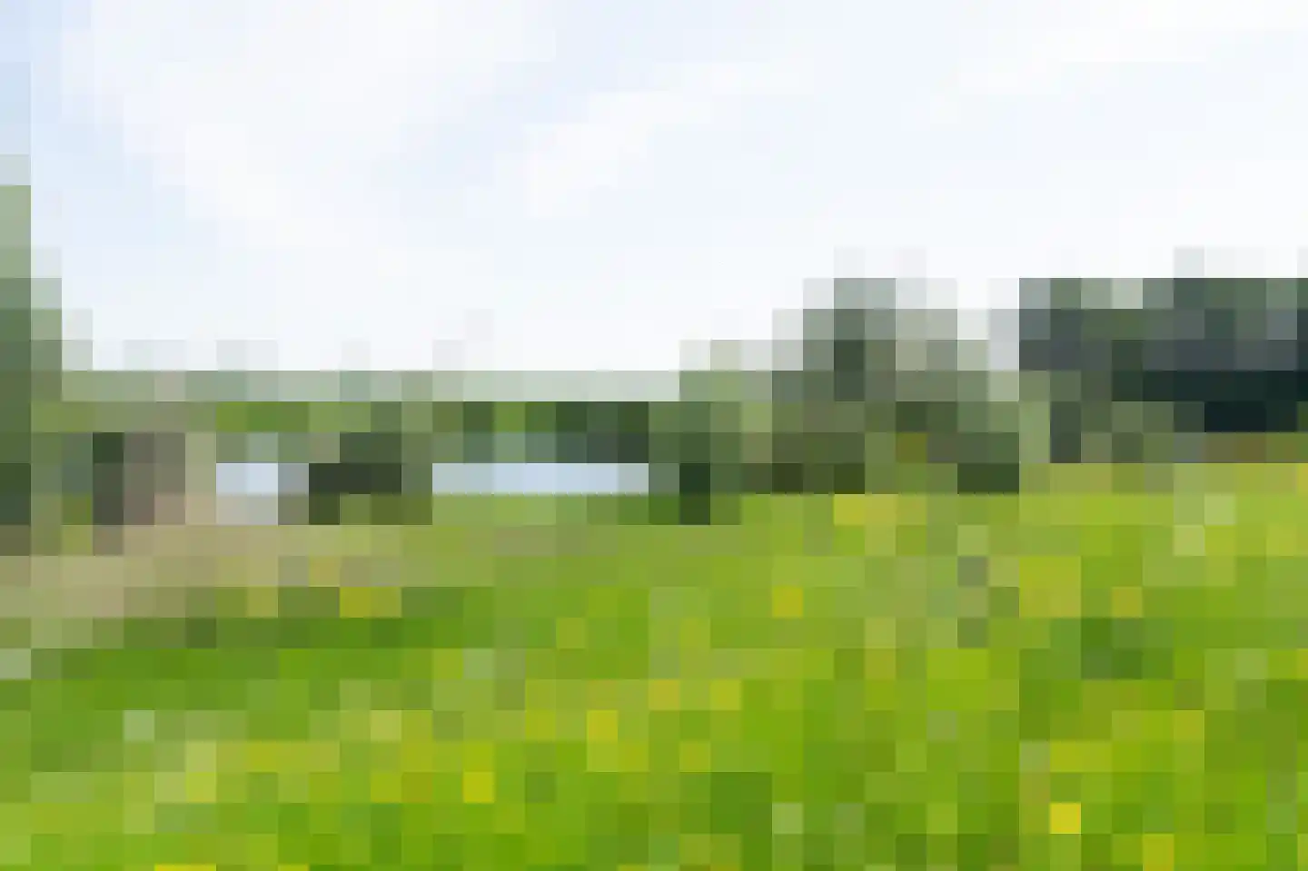 Liesveldsesteeg 30 Brakel thumbnail 35