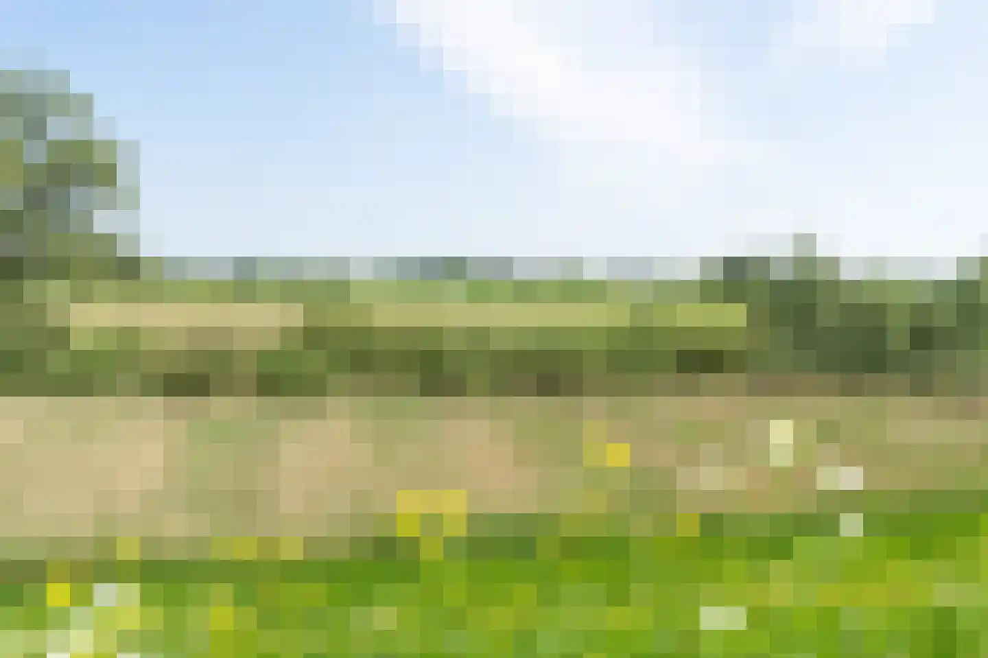 Liesveldsesteeg 30 Brakel thumbnail 36