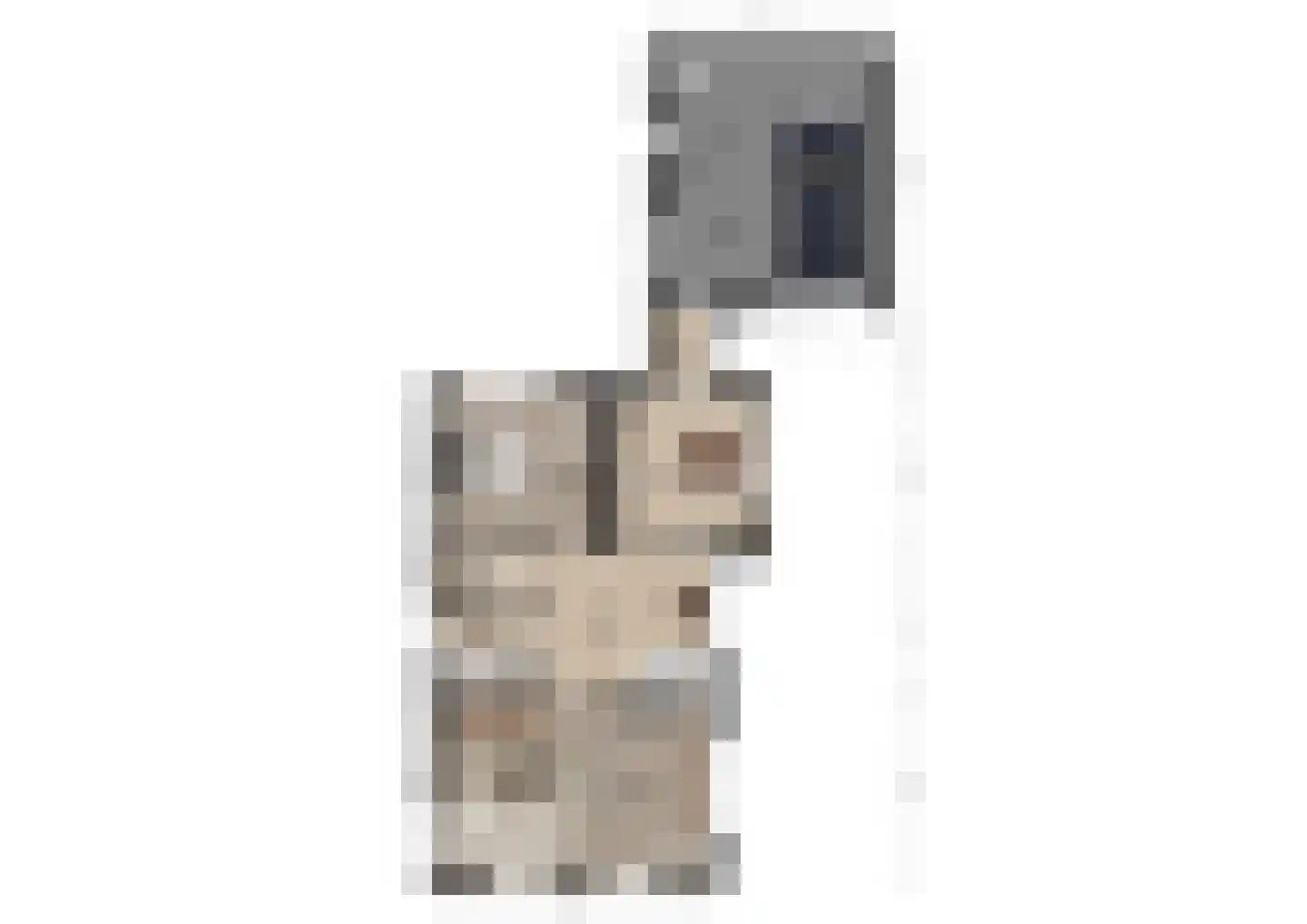 Liesveldsesteeg 30 Brakel thumbnail 38