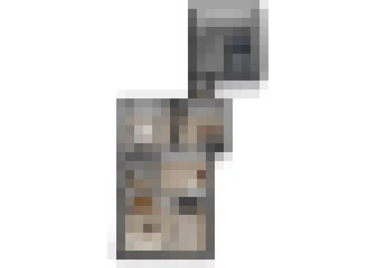 Liesveldsesteeg 30 Brakel thumbnail 40