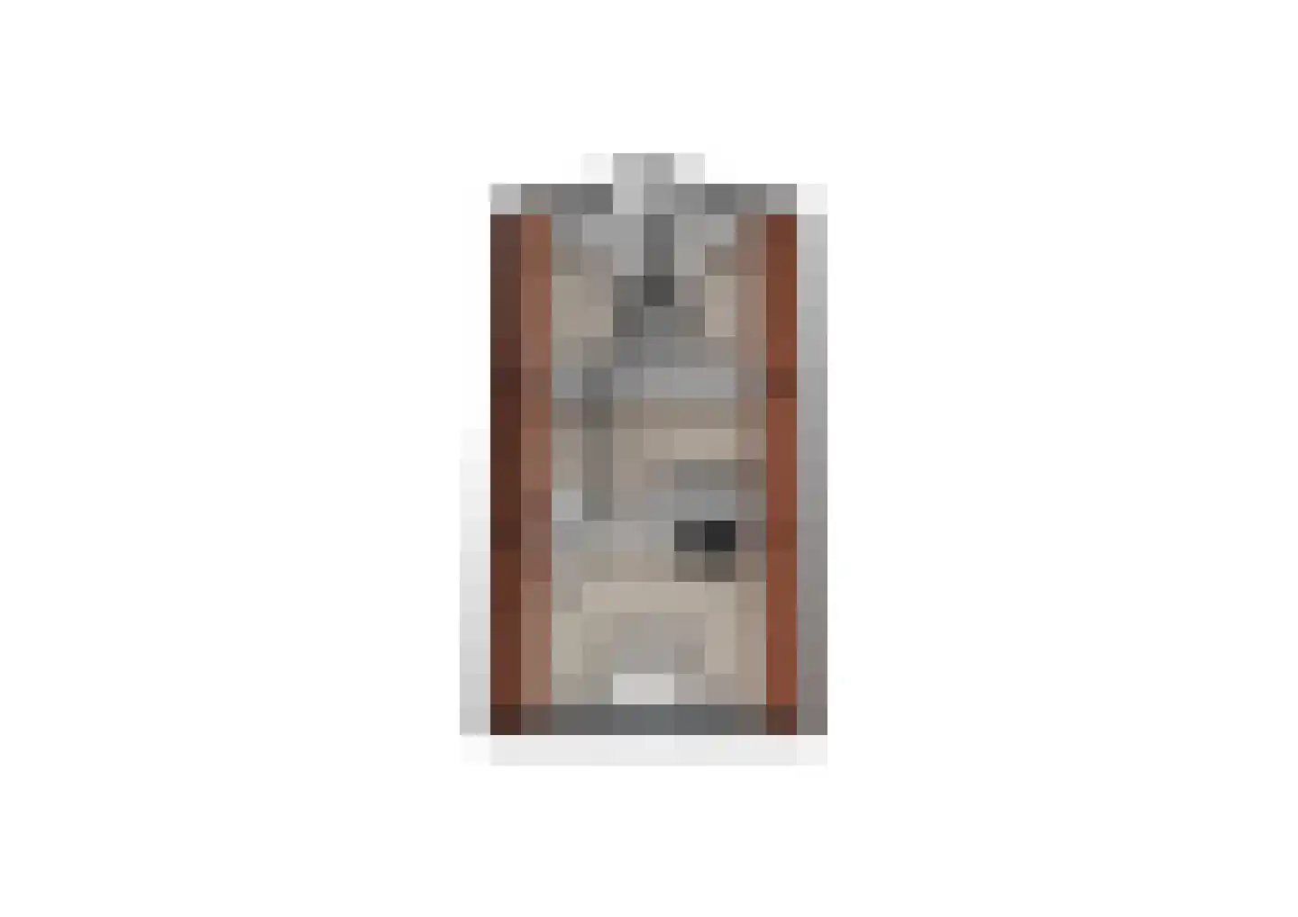 Liesveldsesteeg 30 Brakel thumbnail 41