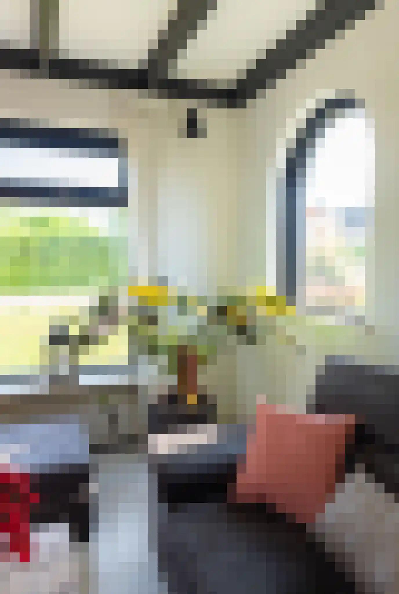 Liesveldsesteeg 30 Brakel thumbnail 6