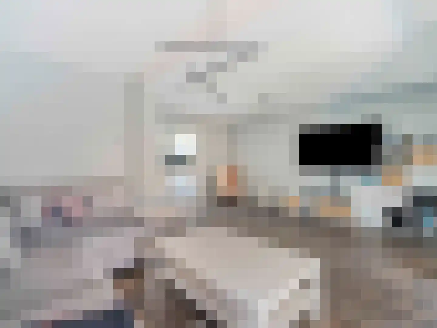 Liesveldweg 43 Ameide thumbnail 10