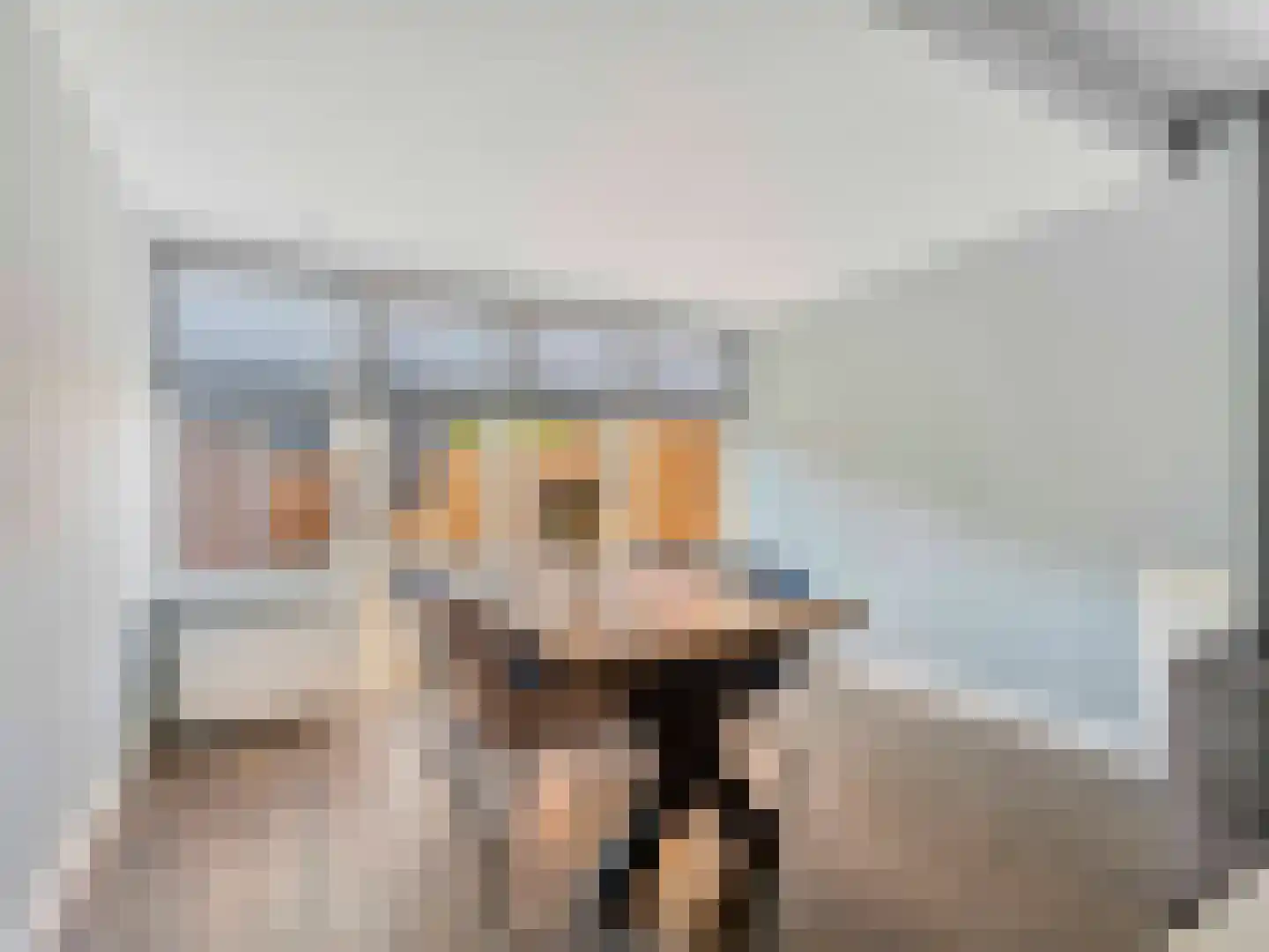 Liesveldweg 43 Ameide thumbnail 11