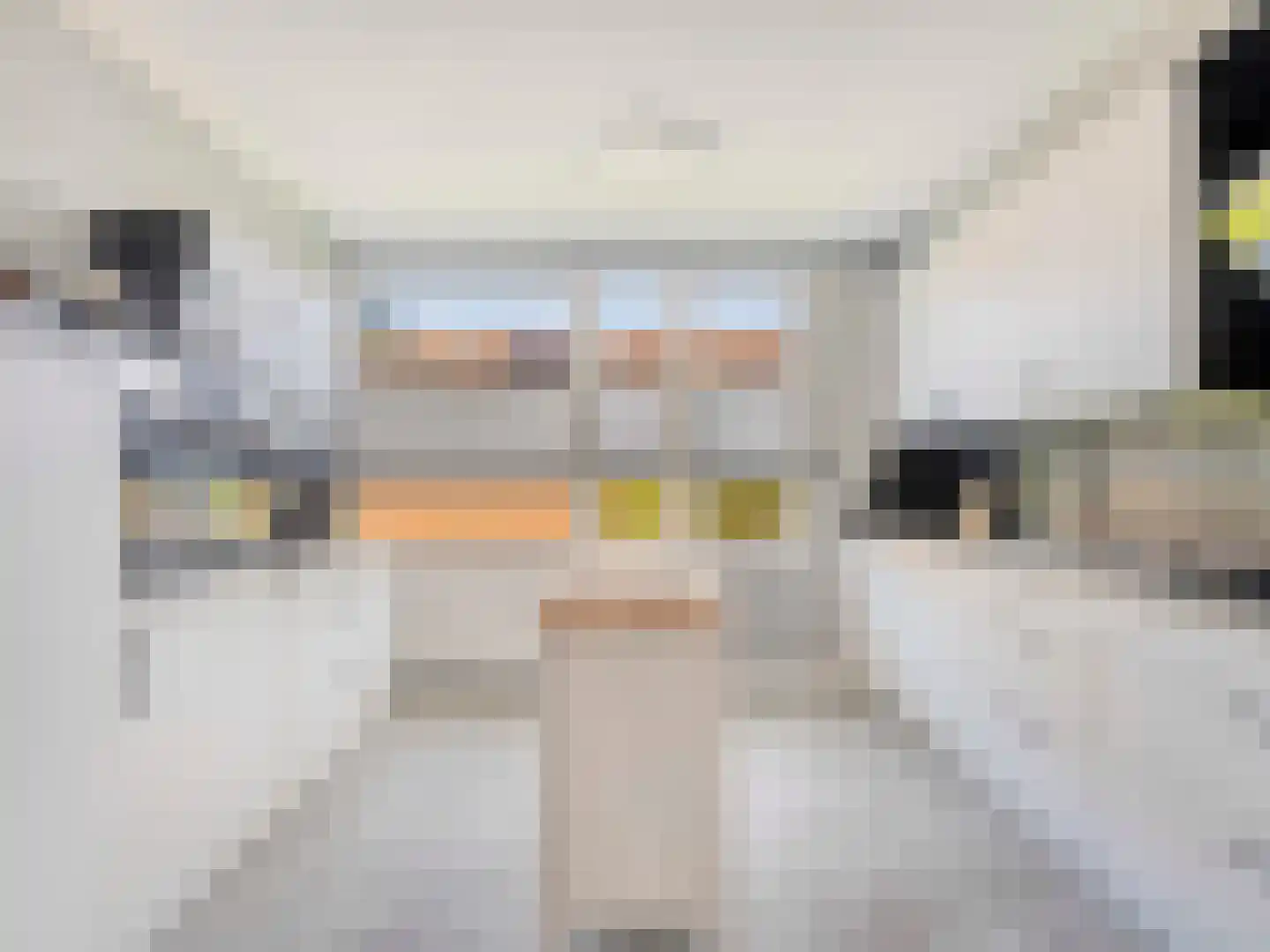 Liesveldweg 43 Ameide thumbnail 12