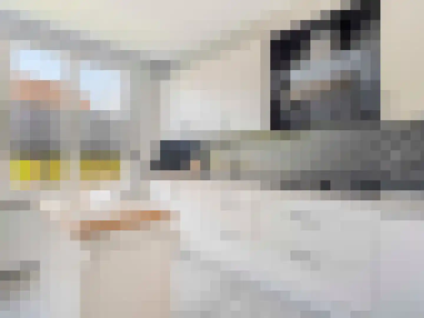 Liesveldweg 43 Ameide thumbnail 13