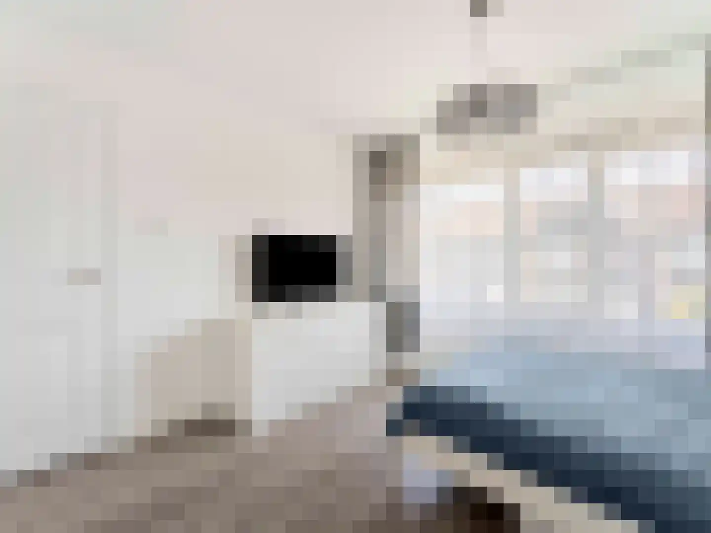 Liesveldweg 43 Ameide thumbnail 19