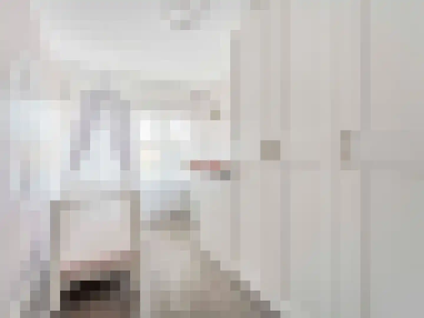 Liesveldweg 43 Ameide thumbnail 21