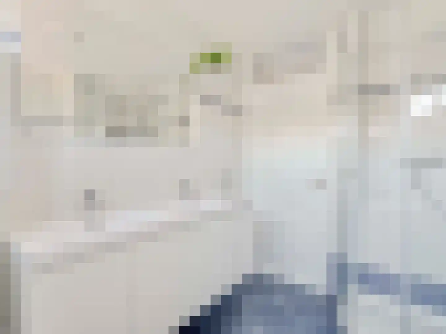 Liesveldweg 43 Ameide thumbnail 23