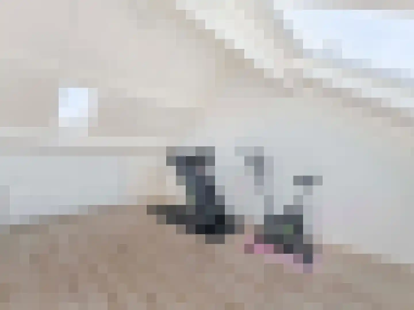 Liesveldweg 43 Ameide thumbnail 30