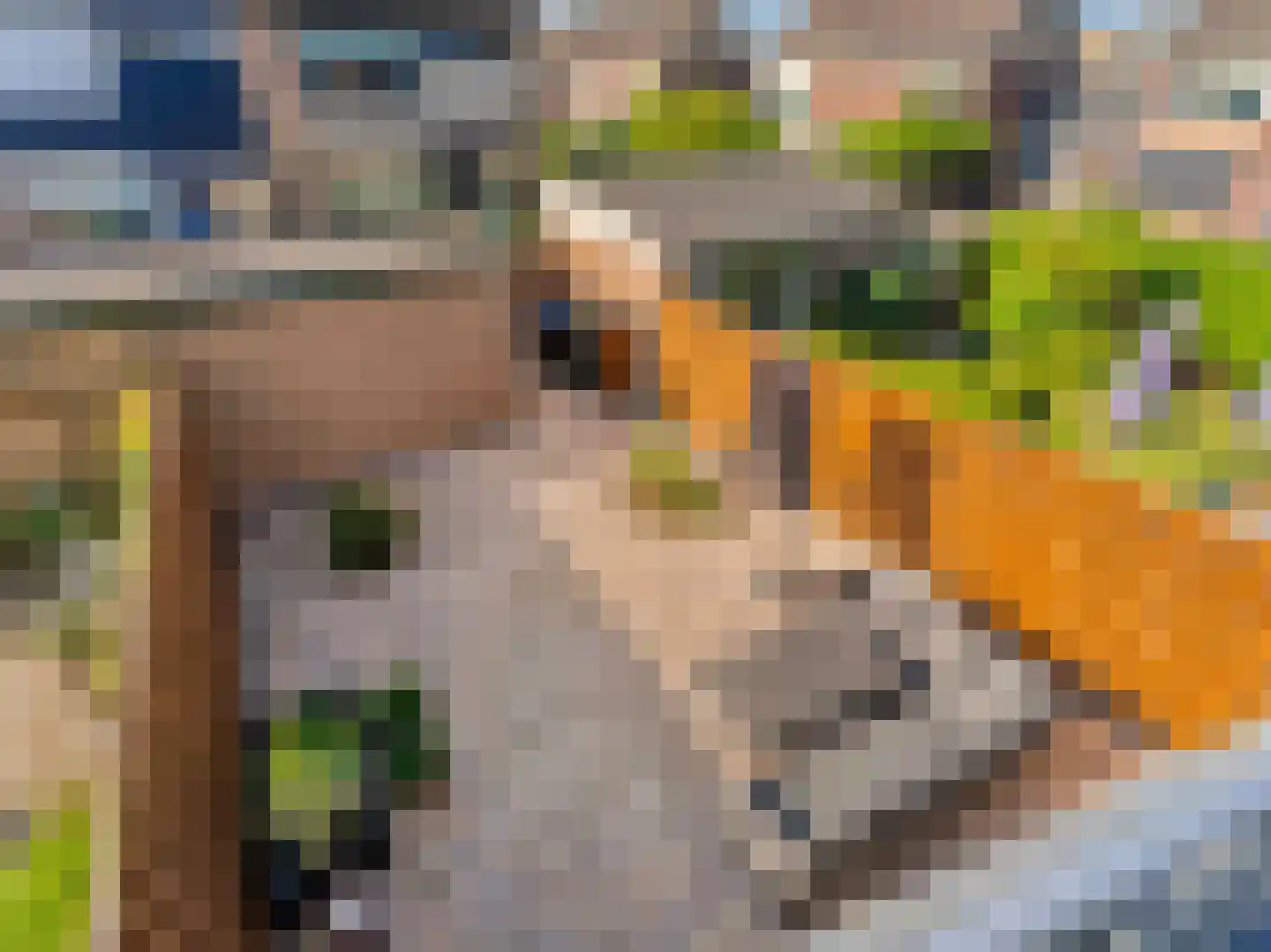 Liesveldweg 43 Ameide thumbnail 37