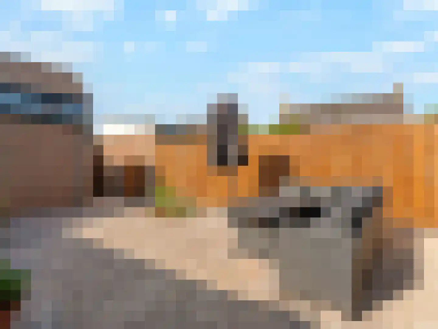 Liesveldweg 43 Ameide thumbnail 38