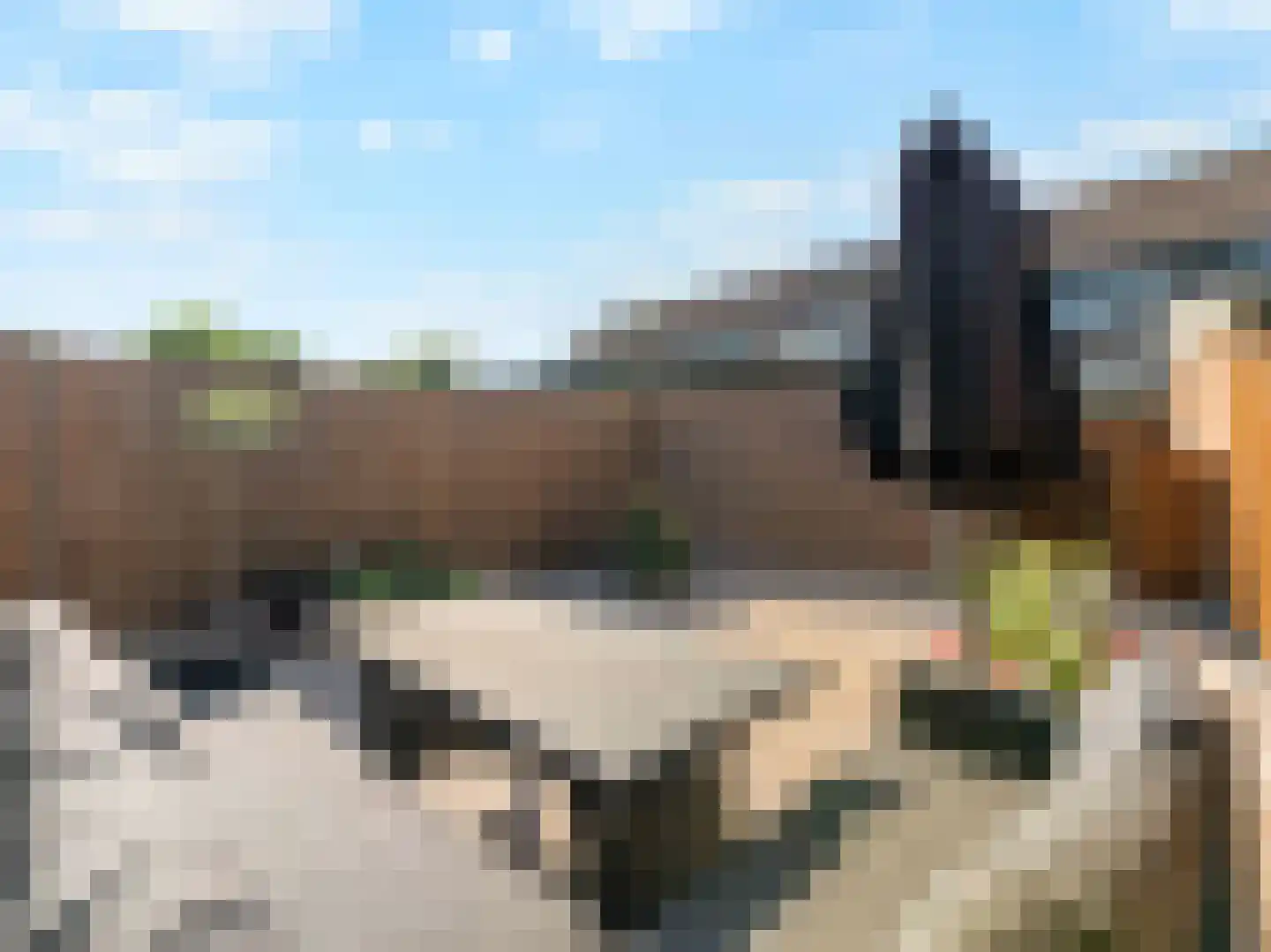 Liesveldweg 43 Ameide thumbnail 39