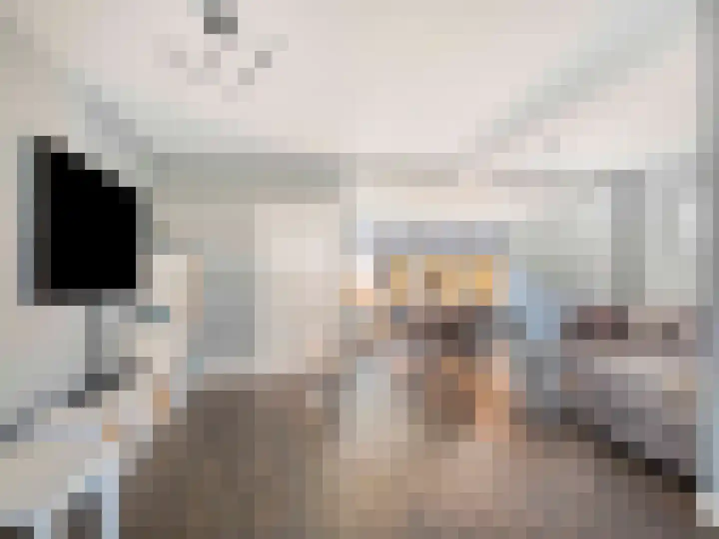 Liesveldweg 43 Ameide thumbnail 4