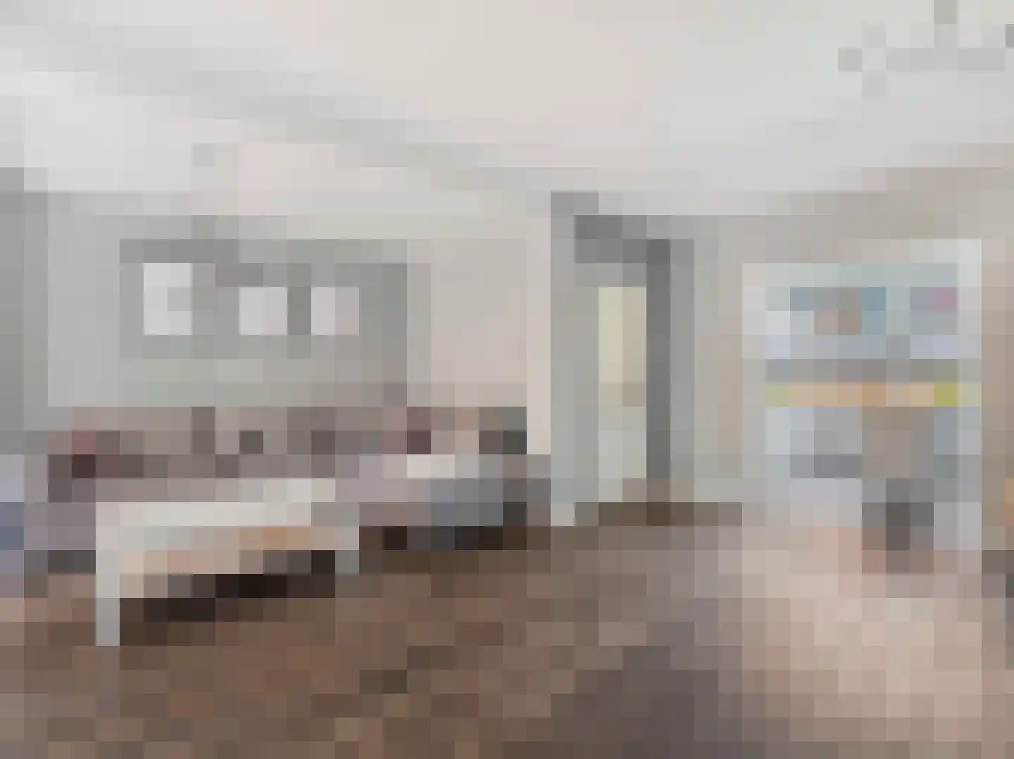 Liesveldweg 43 Ameide thumbnail 8