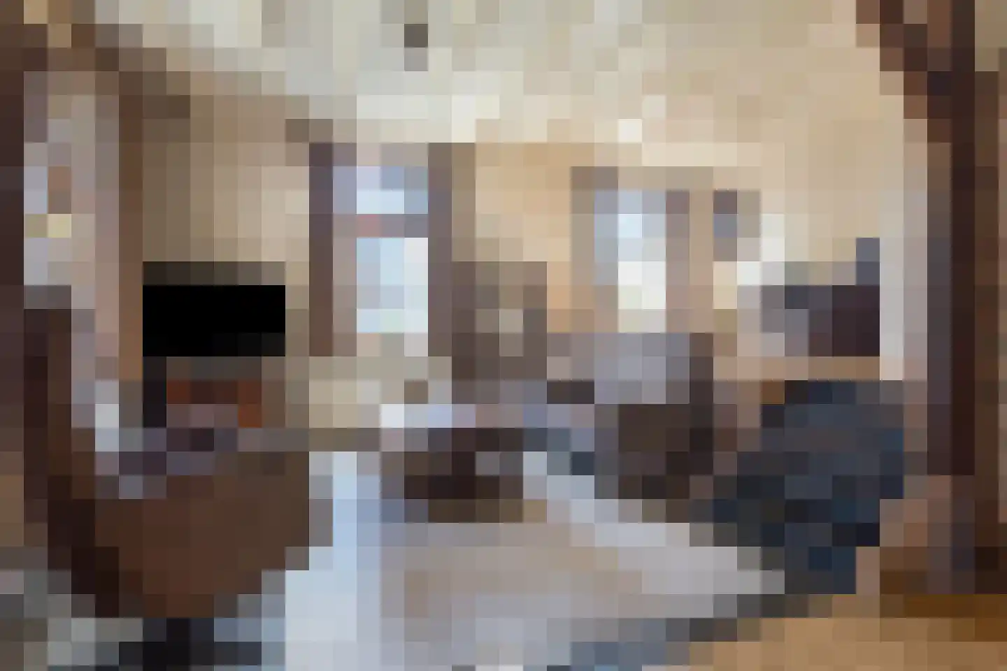 Lietingstraat 37 Haren thumbnail 13