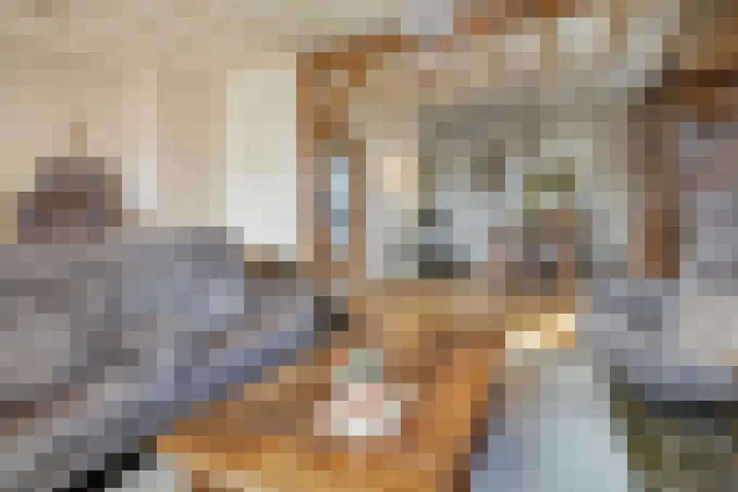 Lietingstraat 37 Haren thumbnail 16