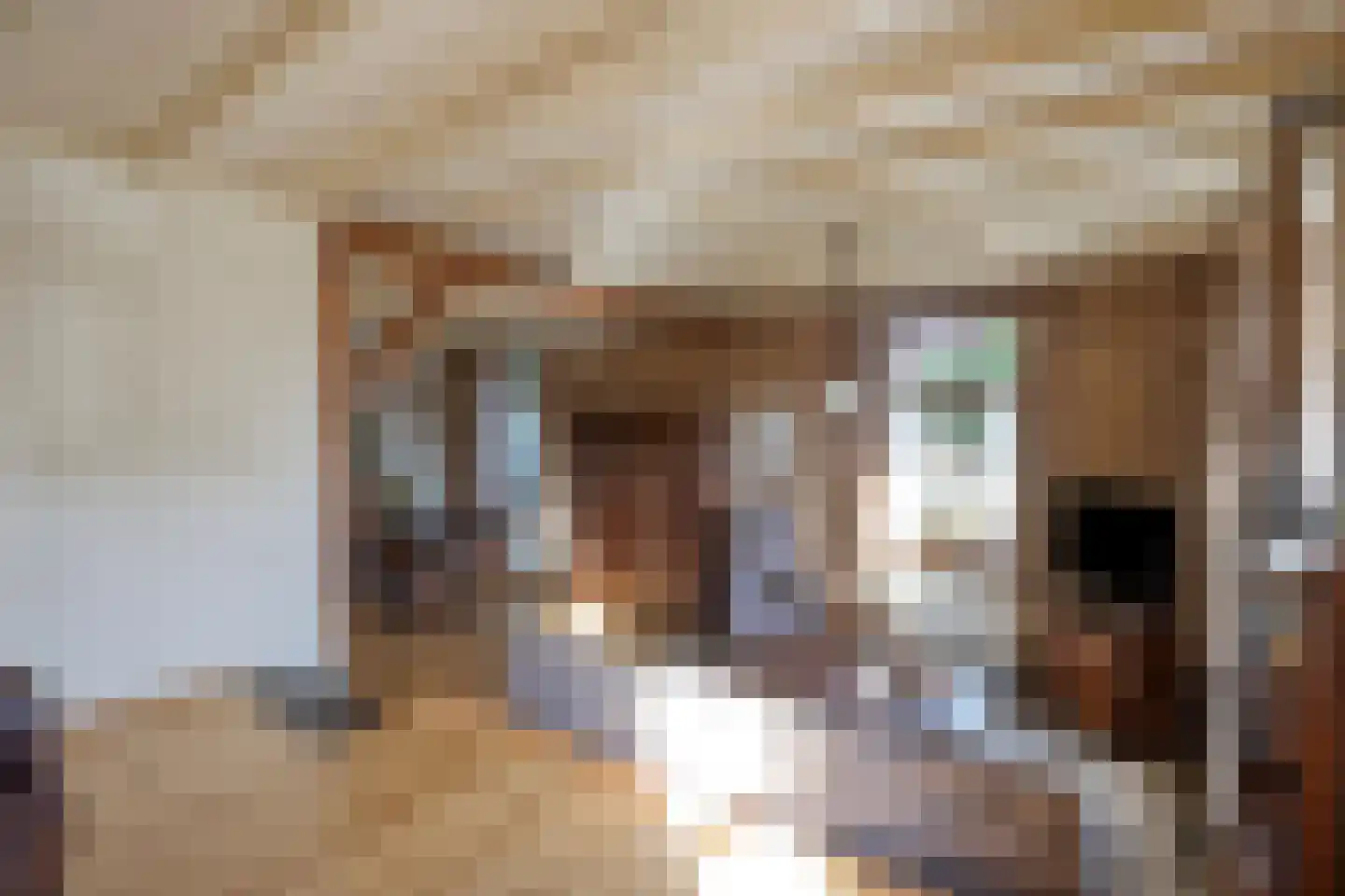 Lietingstraat 37 Haren thumbnail 18