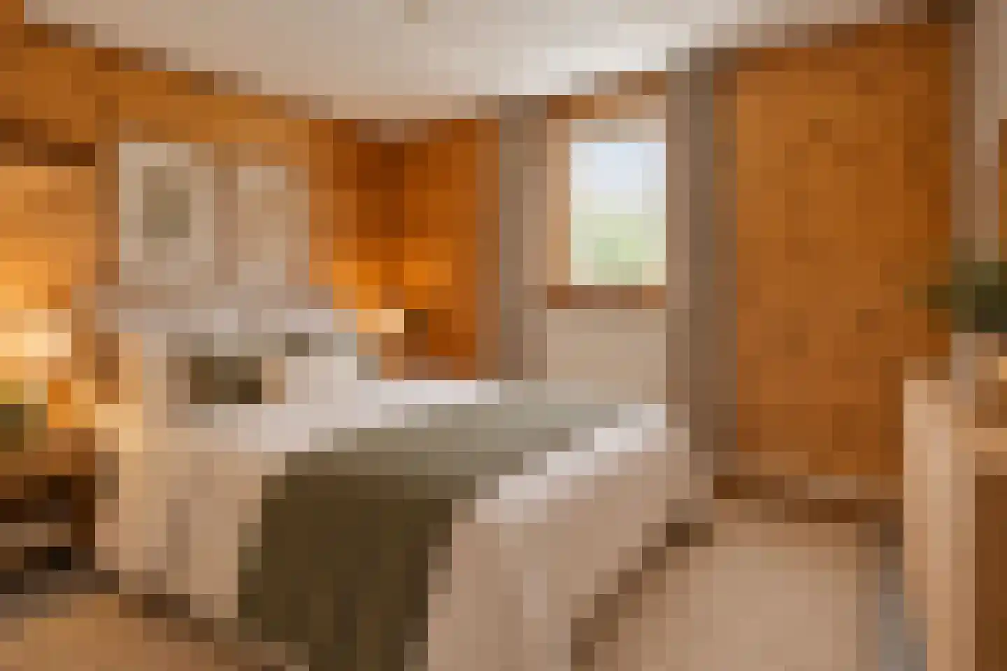 Lietingstraat 37 Haren thumbnail 29