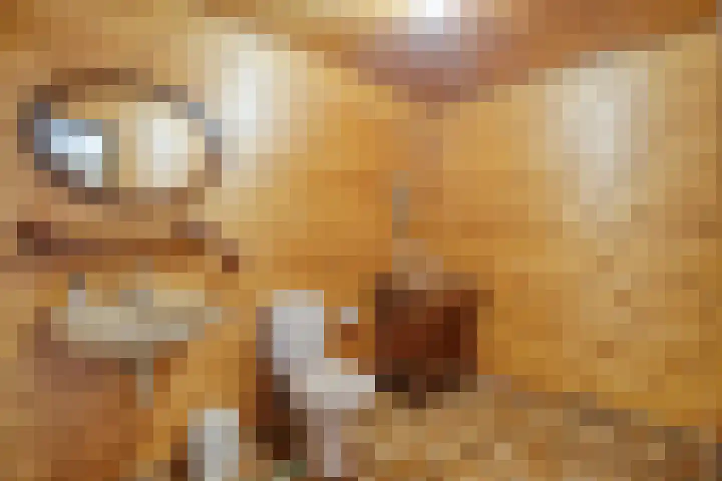 Lietingstraat 37 Haren thumbnail 30