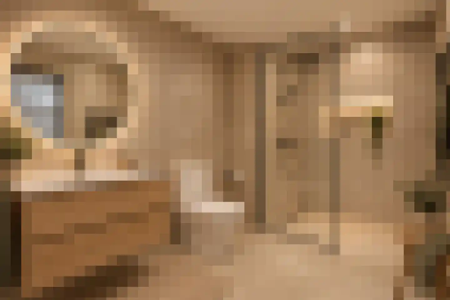 Lietingstraat 37 Haren thumbnail 31