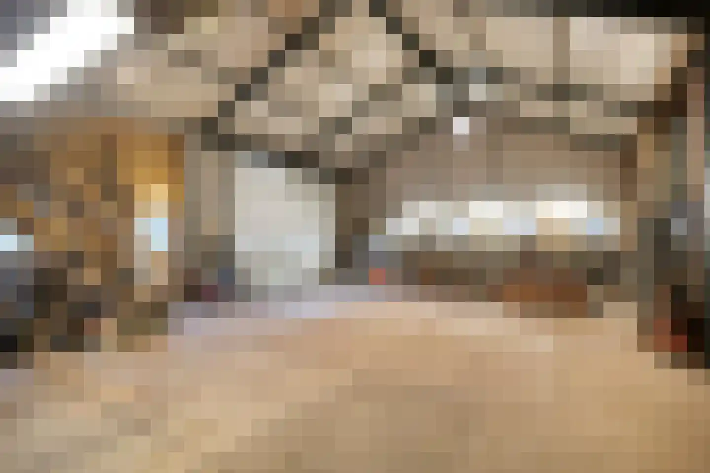 Lietingstraat 37 Haren thumbnail 39
