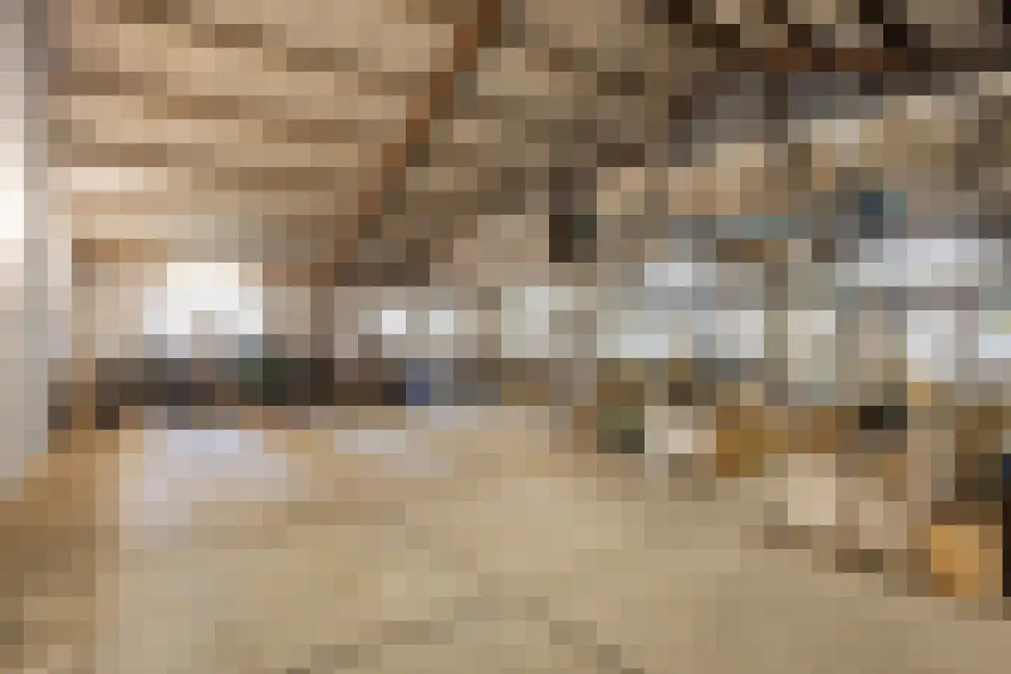 Lietingstraat 37 Haren thumbnail 40