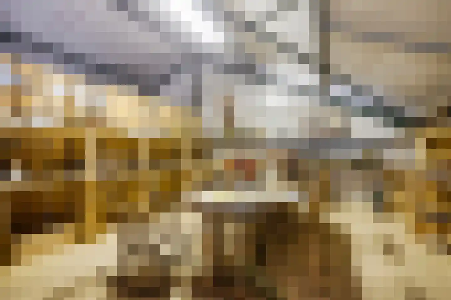 Lietingstraat 37 Haren thumbnail 42