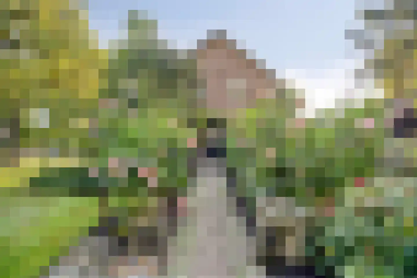 Lietingstraat 37 Haren thumbnail 46