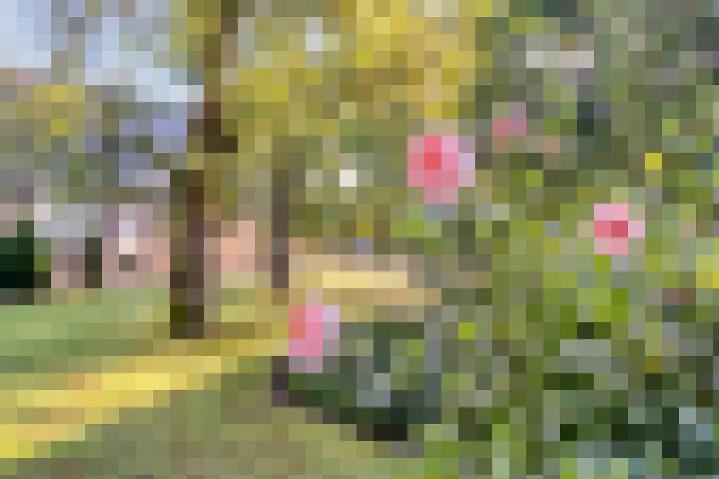 Lietingstraat 37 Haren thumbnail 47