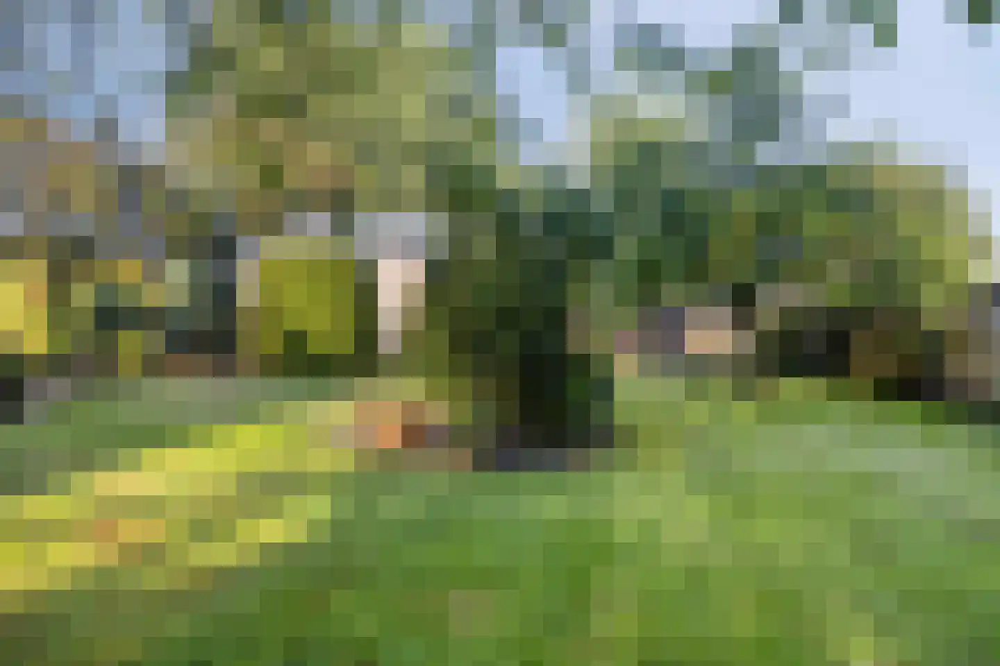 Lietingstraat 37 Haren thumbnail 52