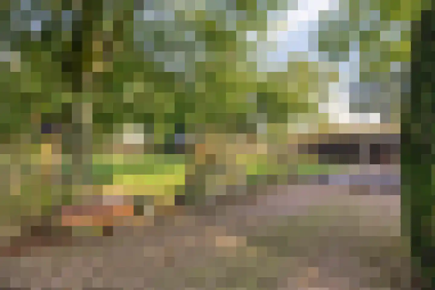 Lietingstraat 37 Haren thumbnail 54