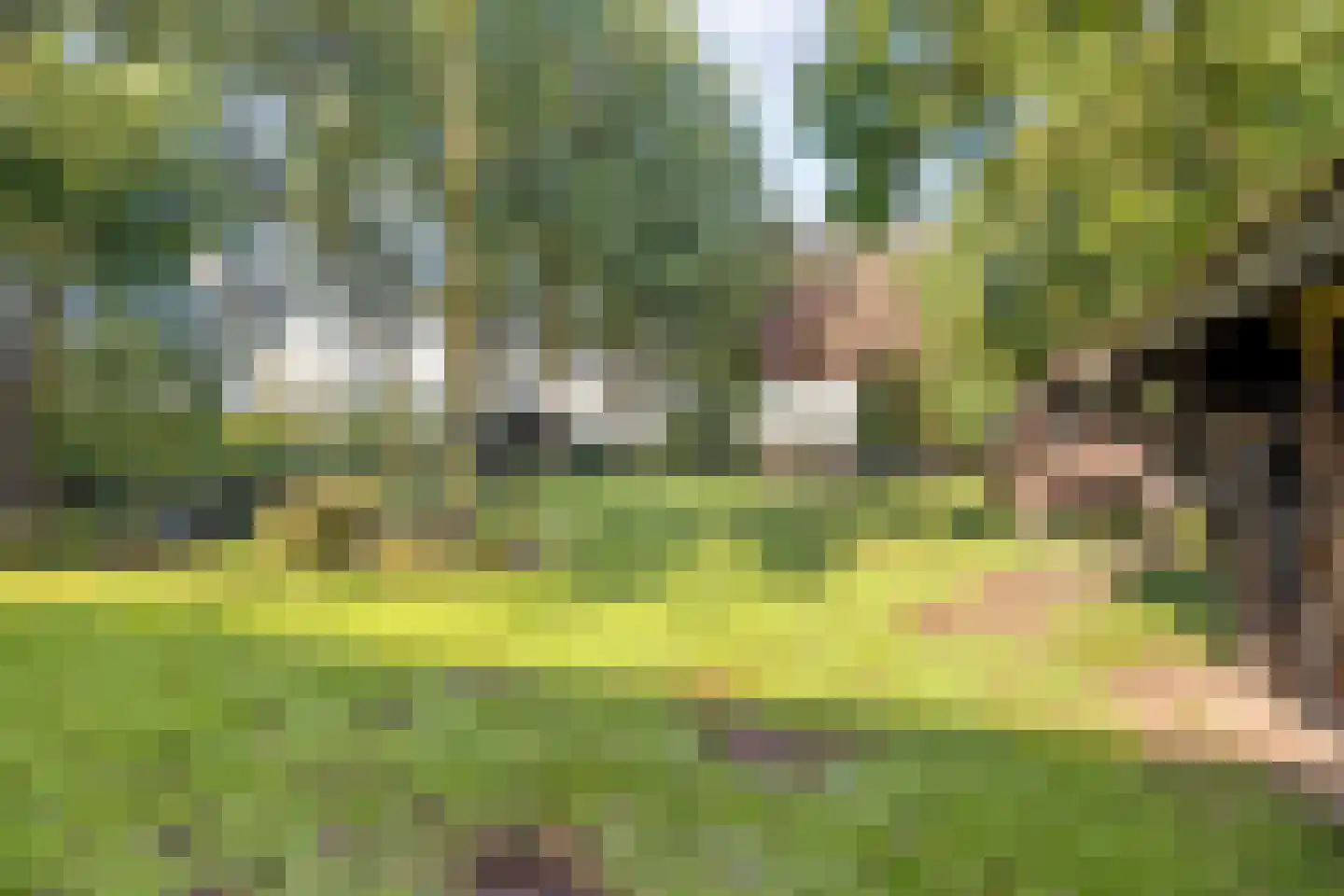 Lietingstraat 37 Haren thumbnail 55